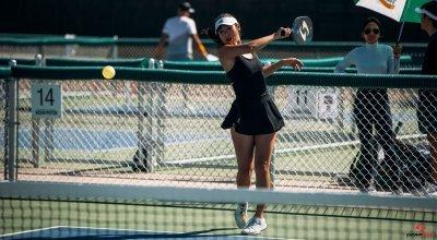 How to Choose a Pickleball Paddle